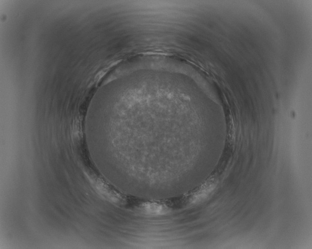 X0000085270272200703091359