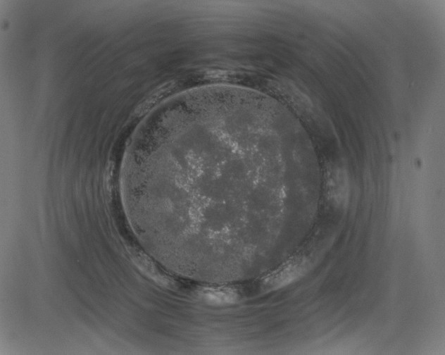 X0000085270275200703091359