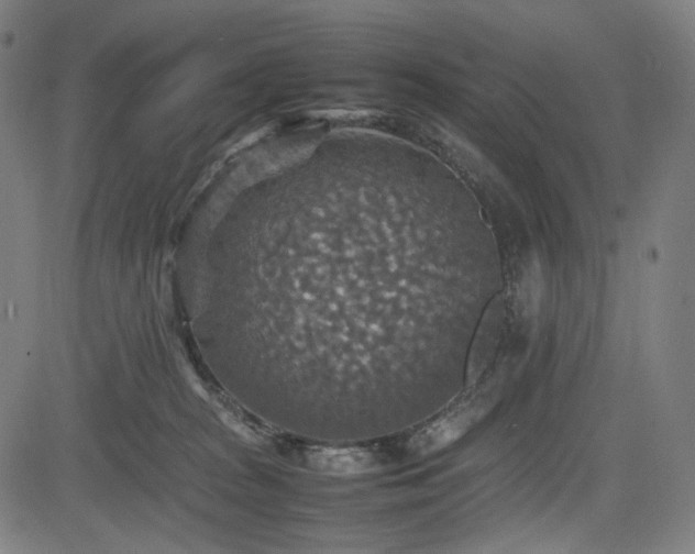 X0000085270277200703091359