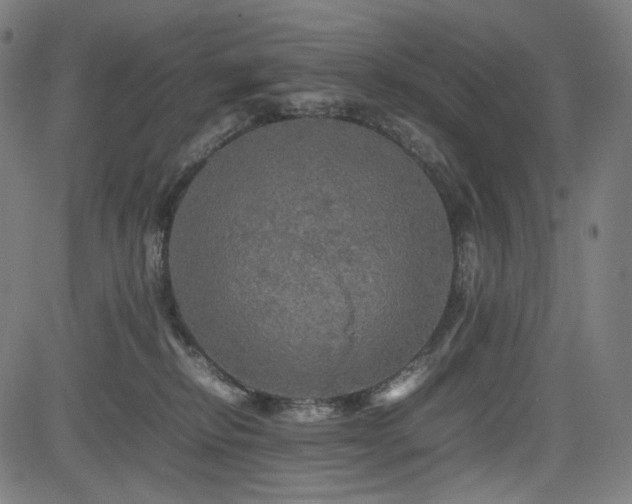 X0000085270278200703091359