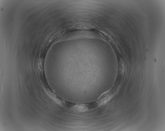 X0000085270280200703091400