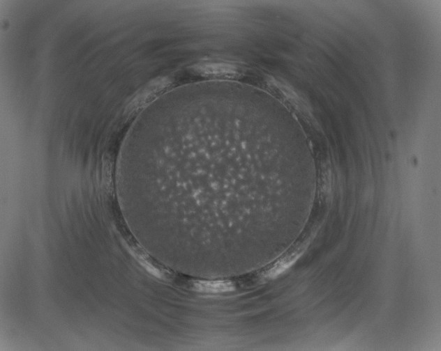 X0000085270281200703091400