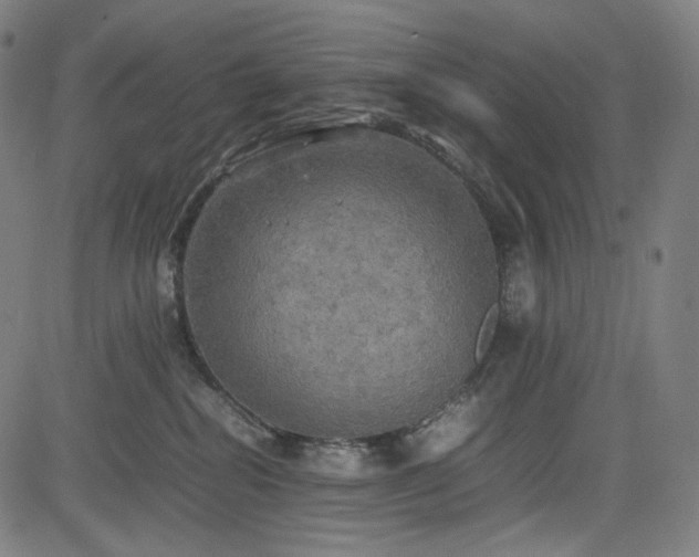 X0000085270282200703091400