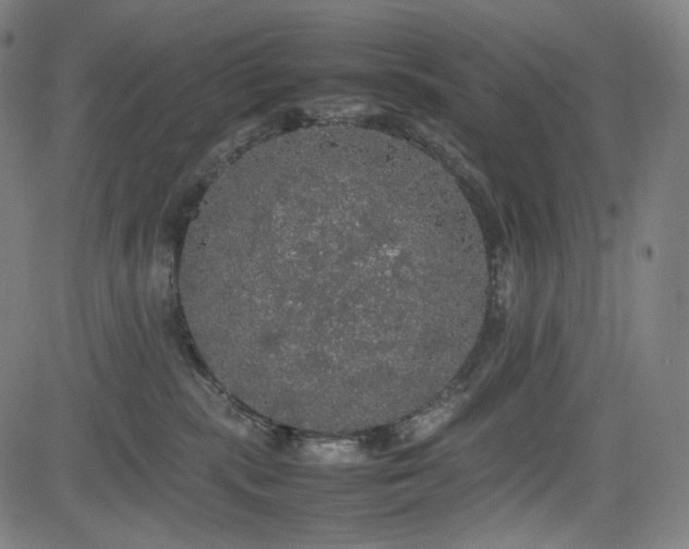 X0000085270283200703091400