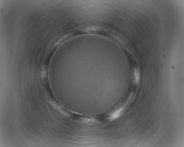 X0000085270284200703091400