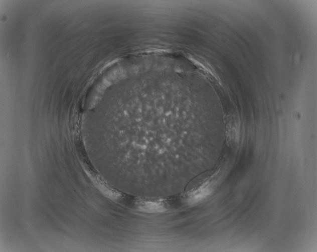 X0000085270285200703091400