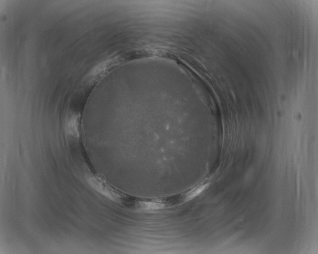 X0000085270286200703091400