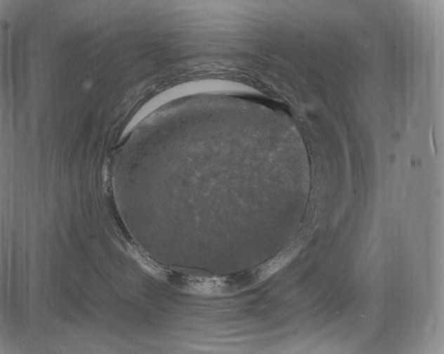 X0000085270288200703091400