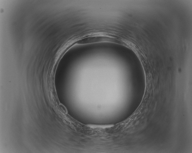 X0000085270289200703091359