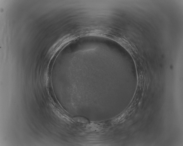 X0000085270290200703091359