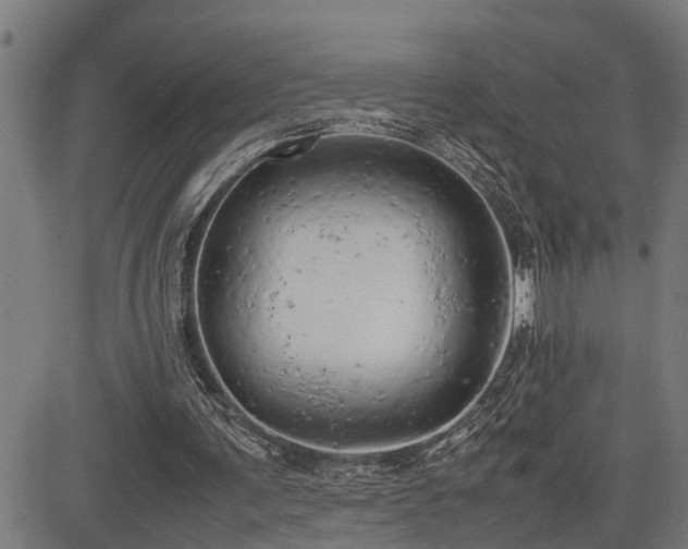 X0000085270291200703091359