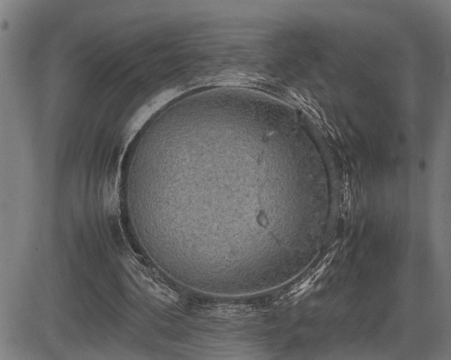 X0000085270292200703091359