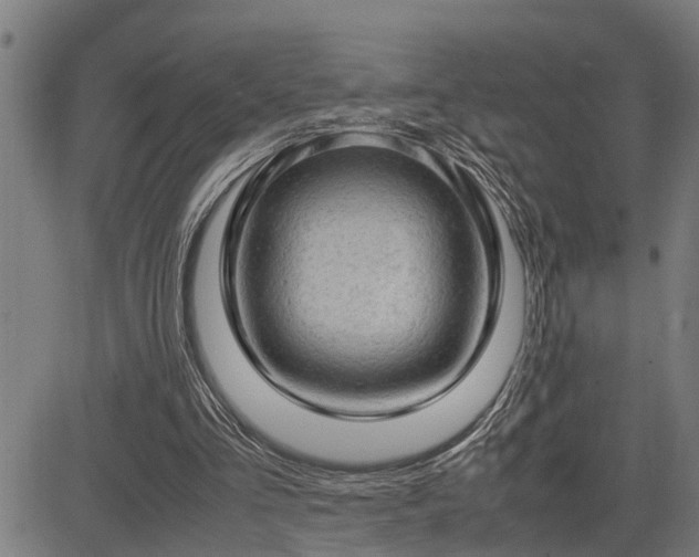 X0000085270293200703091359