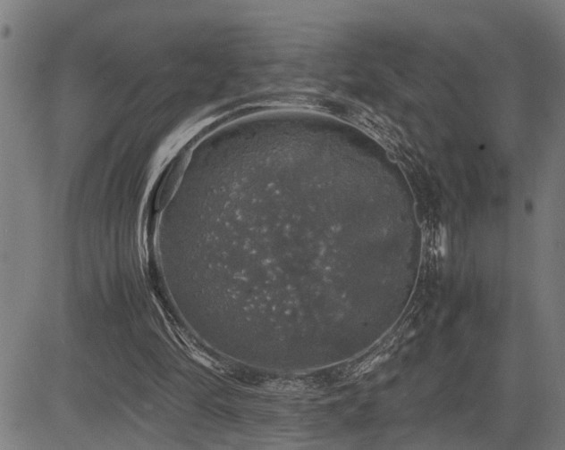 X0000085270294200703091359