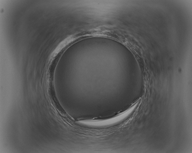 X0000085270295200703091359