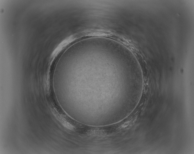 X0000085270296200703091359