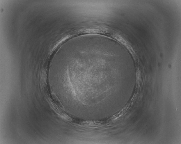 X0000085270297200703091359