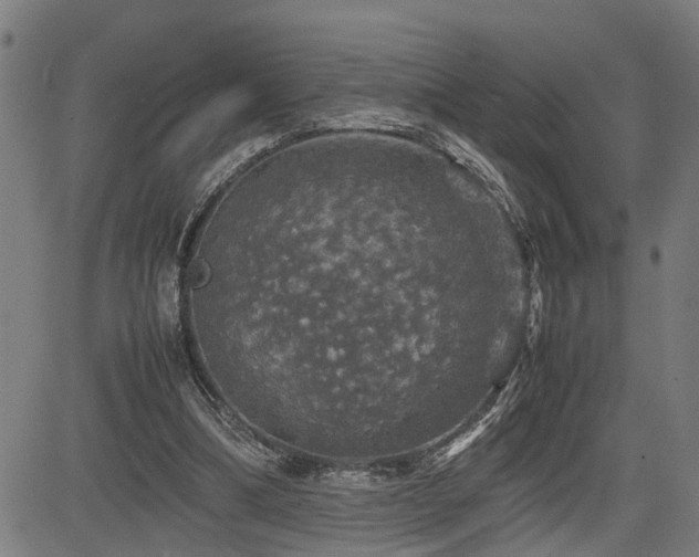 X0000085270298200703091359