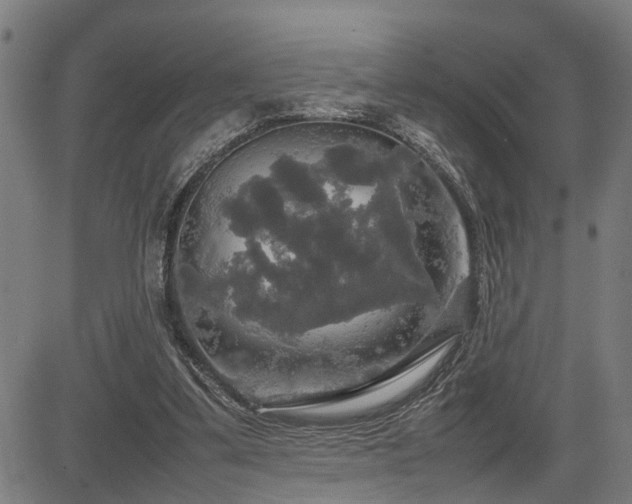 X0000085270299200703091359