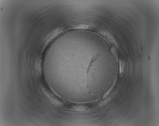 X0000085270300200703091359