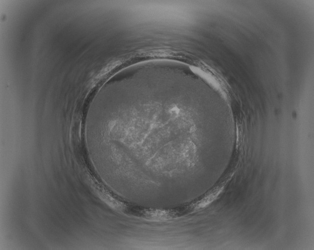 X0000085270301200703091359