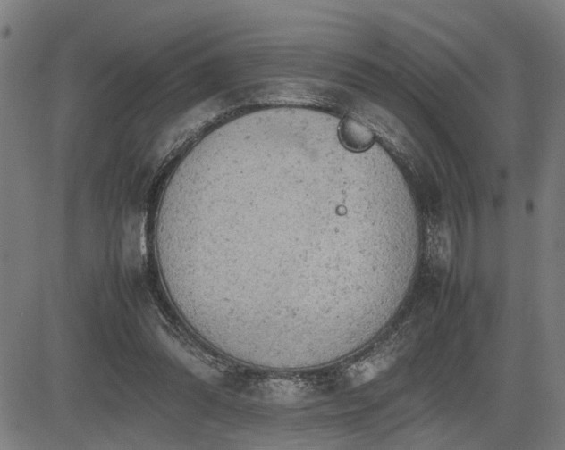 X0000085270302200703091359