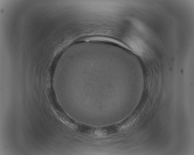 X0000085270303200703091359