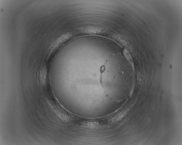 X0000085270304200703091359