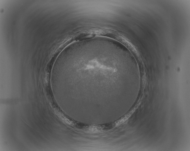 X0000085270305200703091359