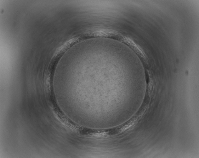 X0000085270306200703091359