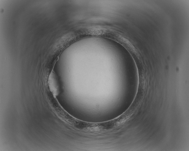 X0000085270307200703091359