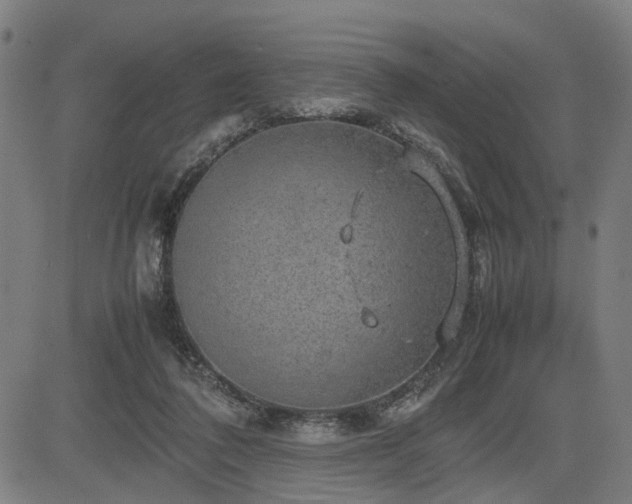 X0000085270308200703091358