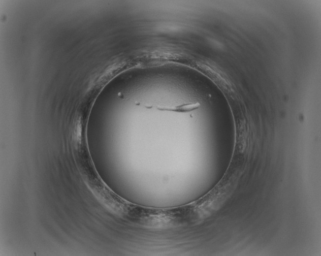 X0000085270310200703091358