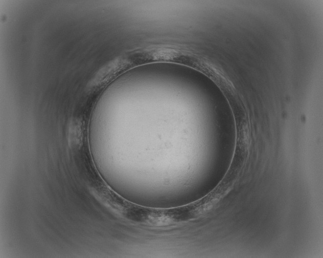 X0000085270311200703091358