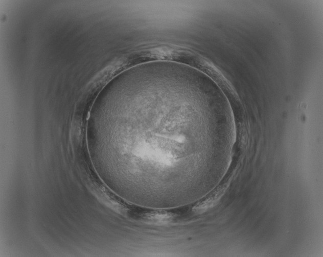 X0000085270313200703091358