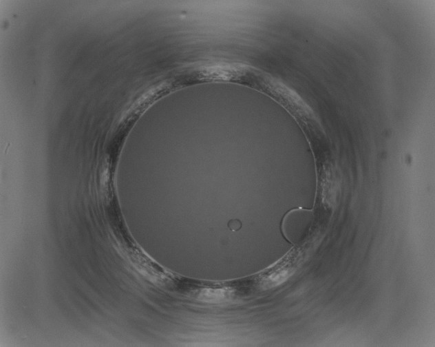 X0000085270314200703091358