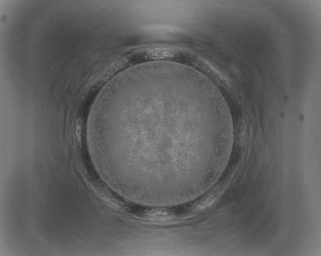 X0000085270315200703091358