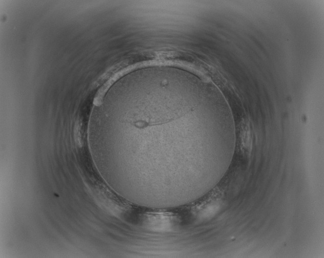 X0000085270316200703091358