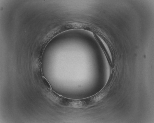 X0000085270317200703091358