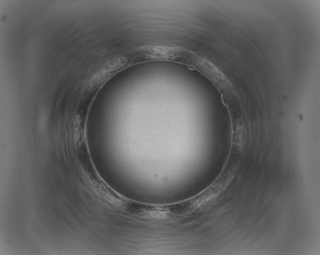 X0000085270318200703091358