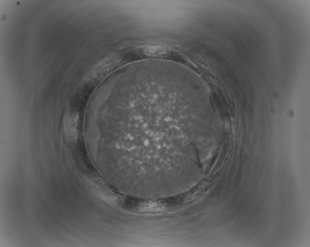 X0000085270319200703091358