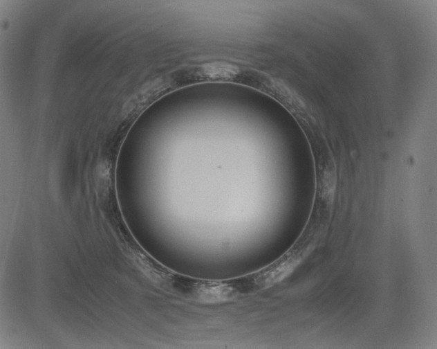 X0000085270321200703091358