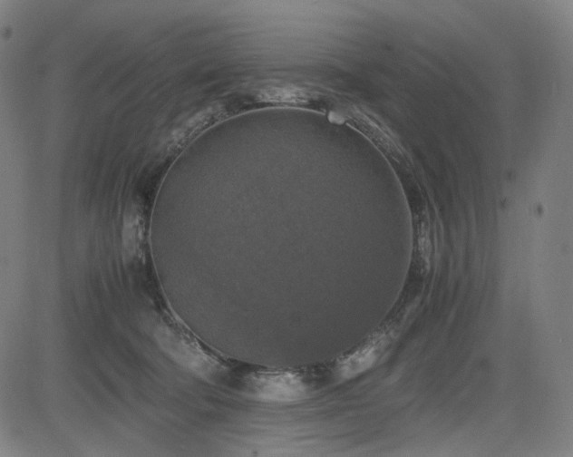 X0000085270322200703091358