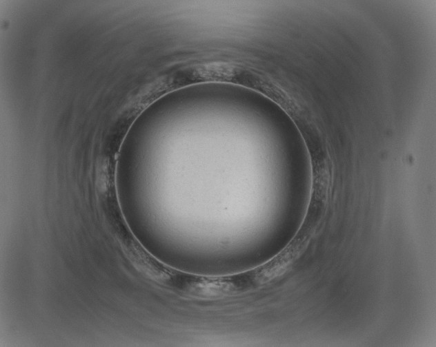 X0000085270323200703091358