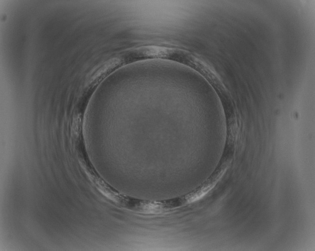 X0000085270325200703091358