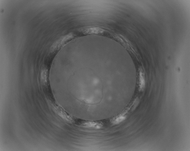 X0000085270326200703091358