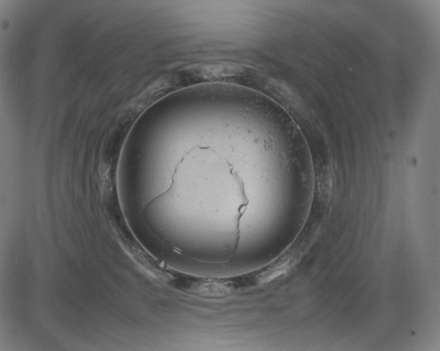 X0000085270327200703091358