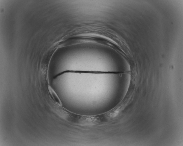 X0000085270329200703091358