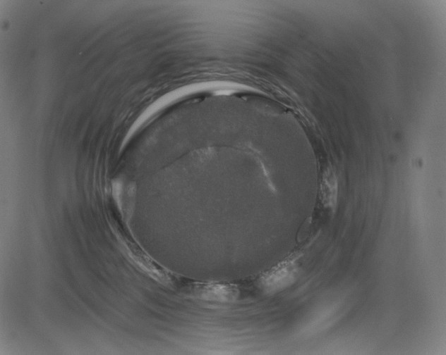 X0000085270330200703091358