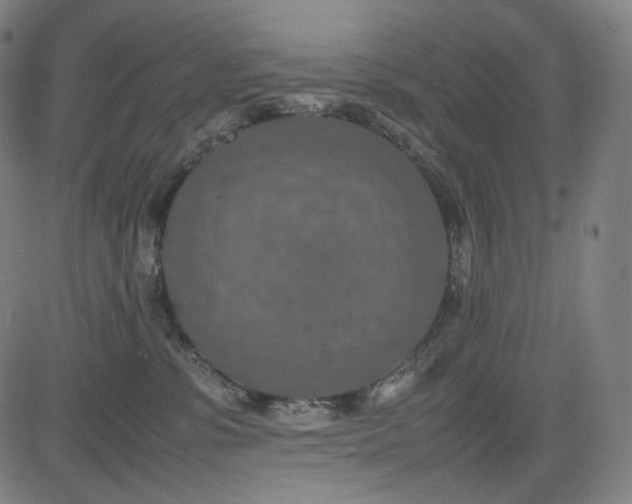 X0000085270331200703091358